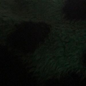 Meet your Posher, Robin